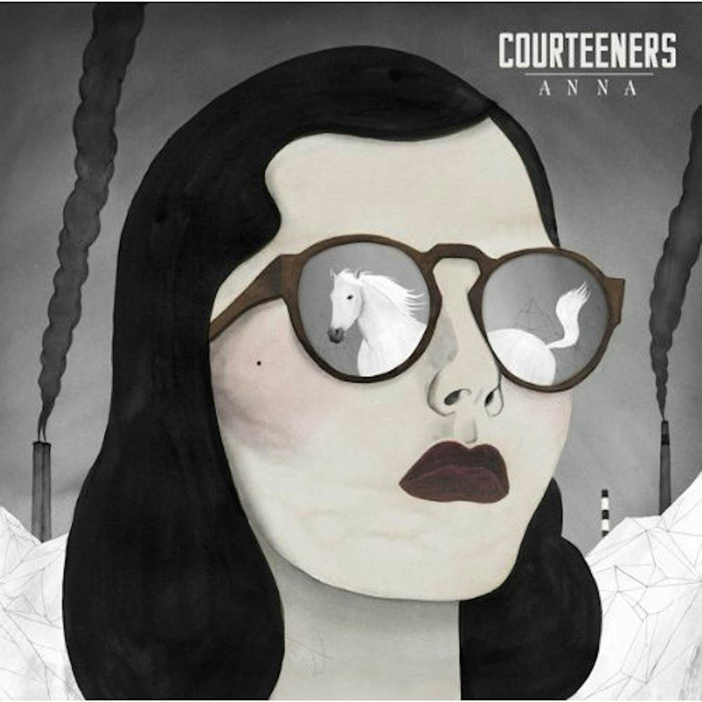Courteeners ANNA Vinyl Record