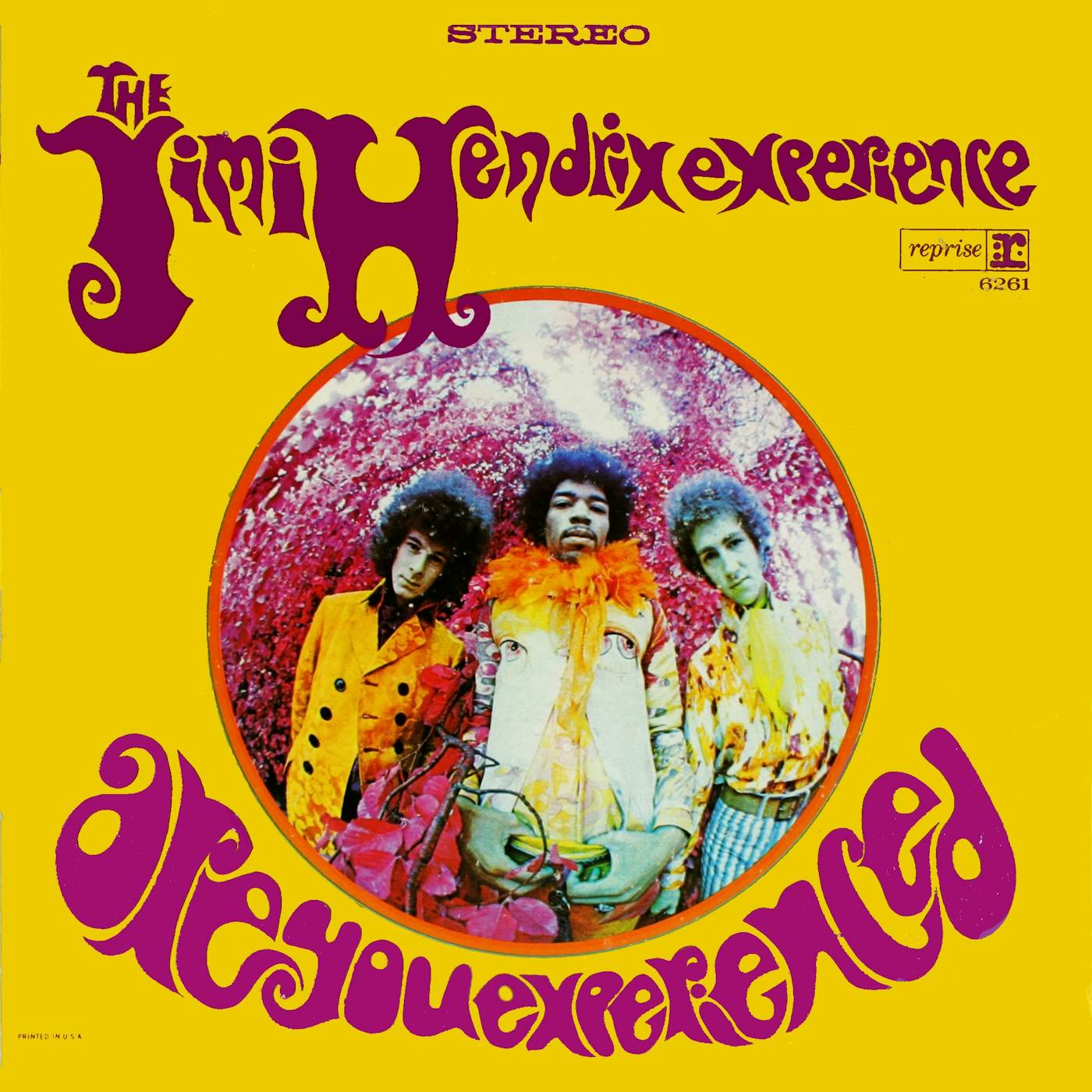 Jimi Hendrix Are You Experienced (Vinyl)