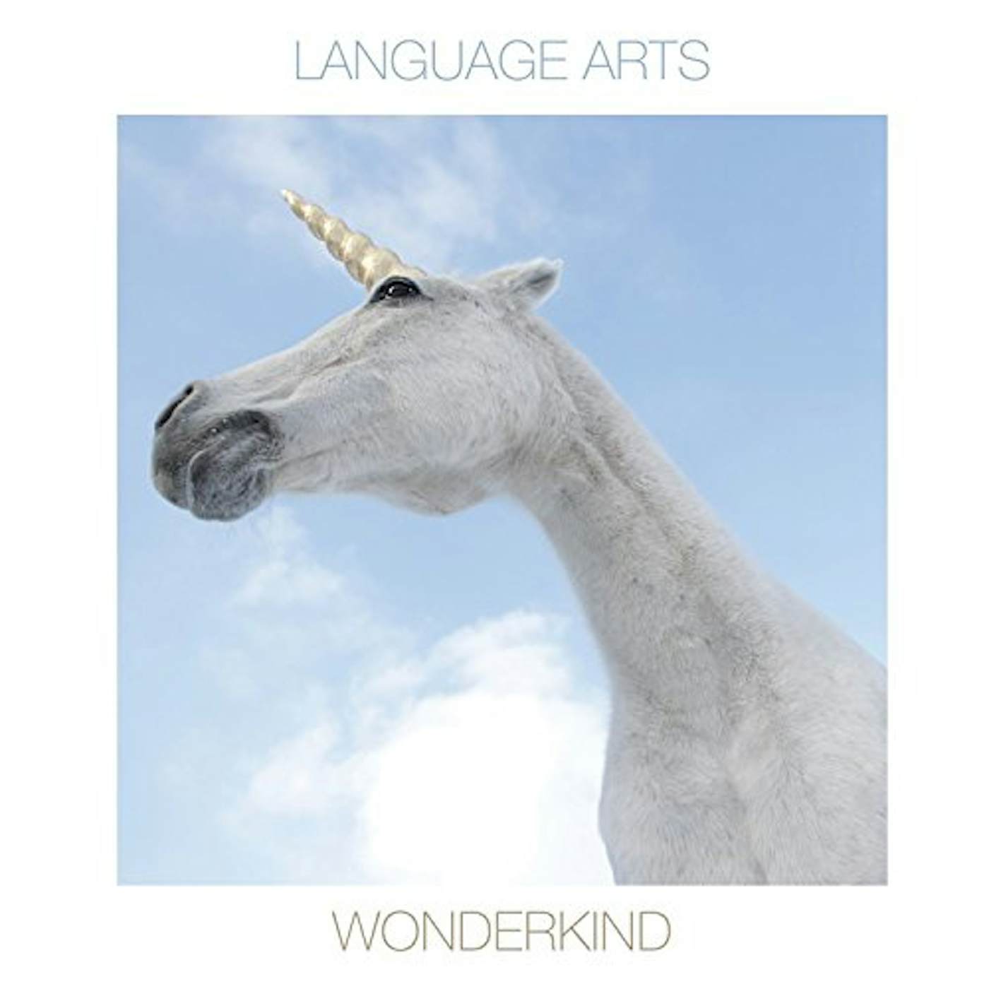 Language Arts Wonderkind Vinyl Record