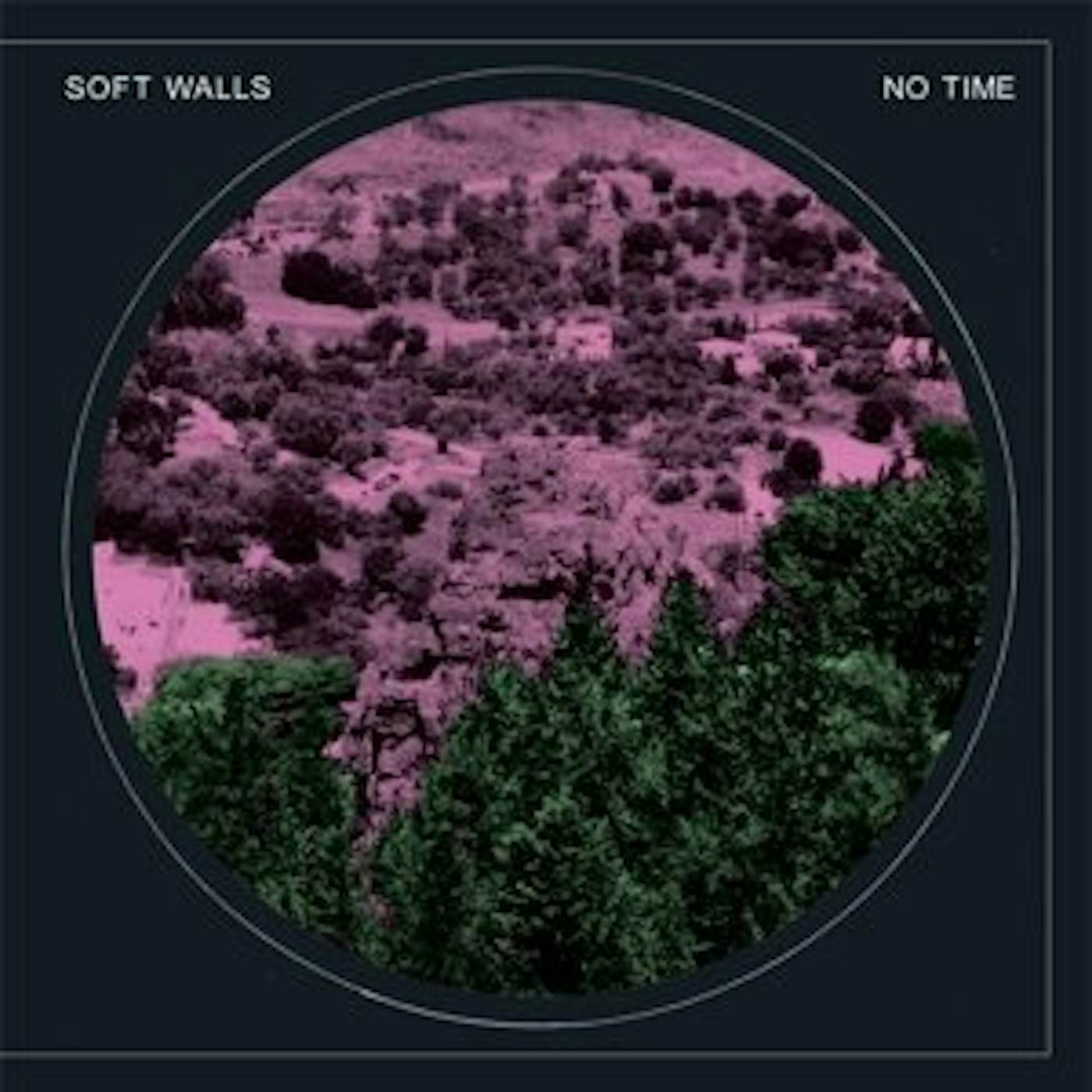 The Soft Walls No Time Vinyl Record