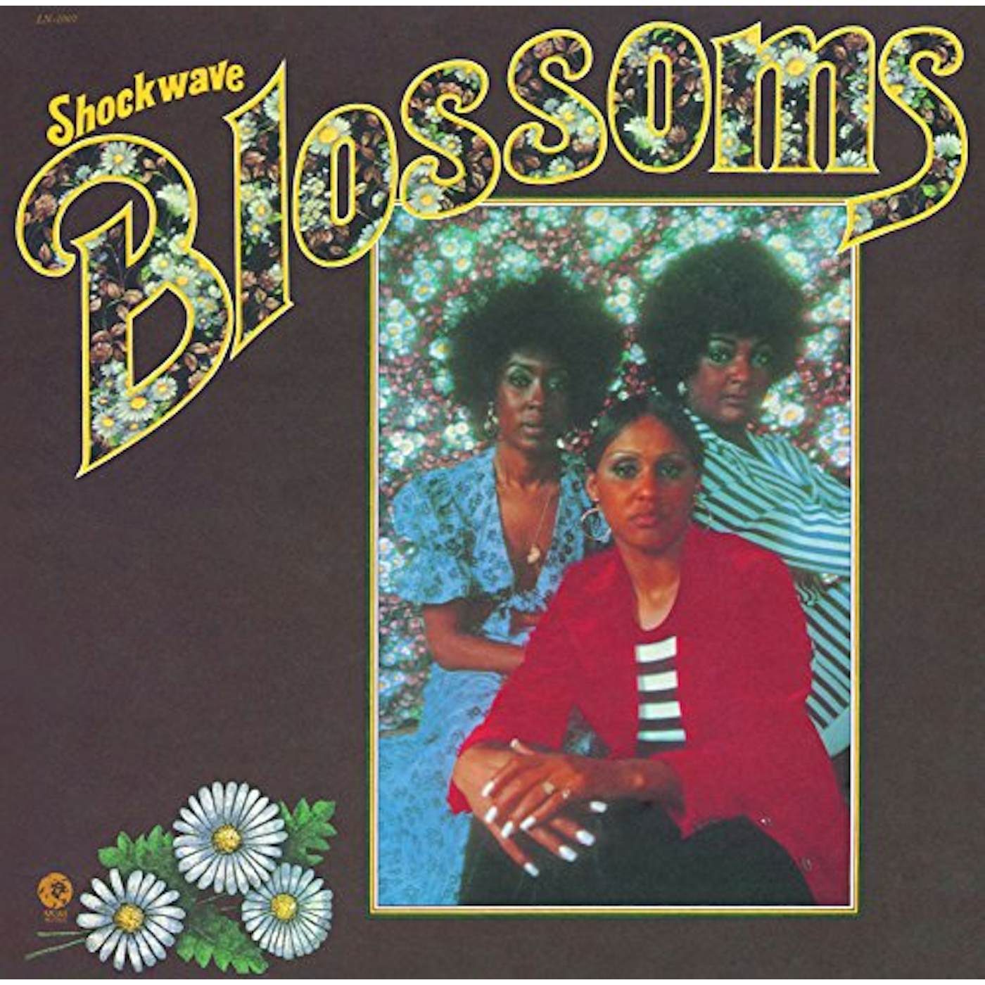 Blossoms SHOCKWAVE CD