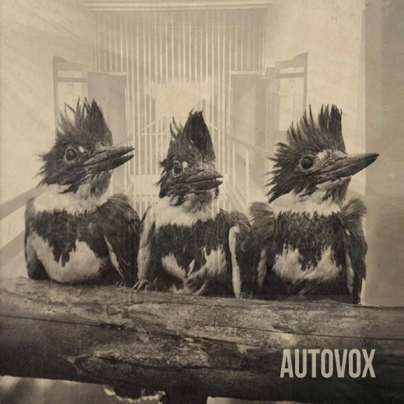 Autovox MEASURES OF ATTACK CD