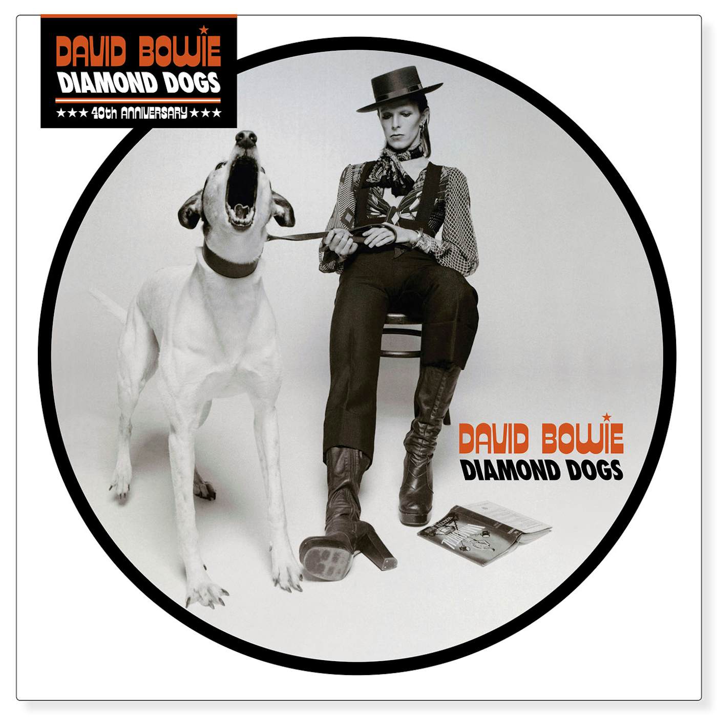 David Bowie DIAMOND DOGS 40TH ANNIVERSARY Vinyl Record - Picture Disc