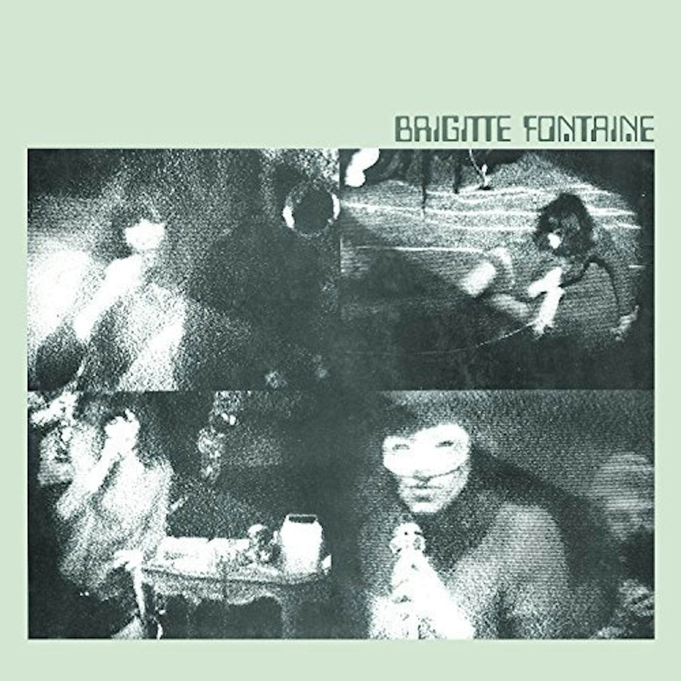 Brigitte Fontaine Vinyl Record
