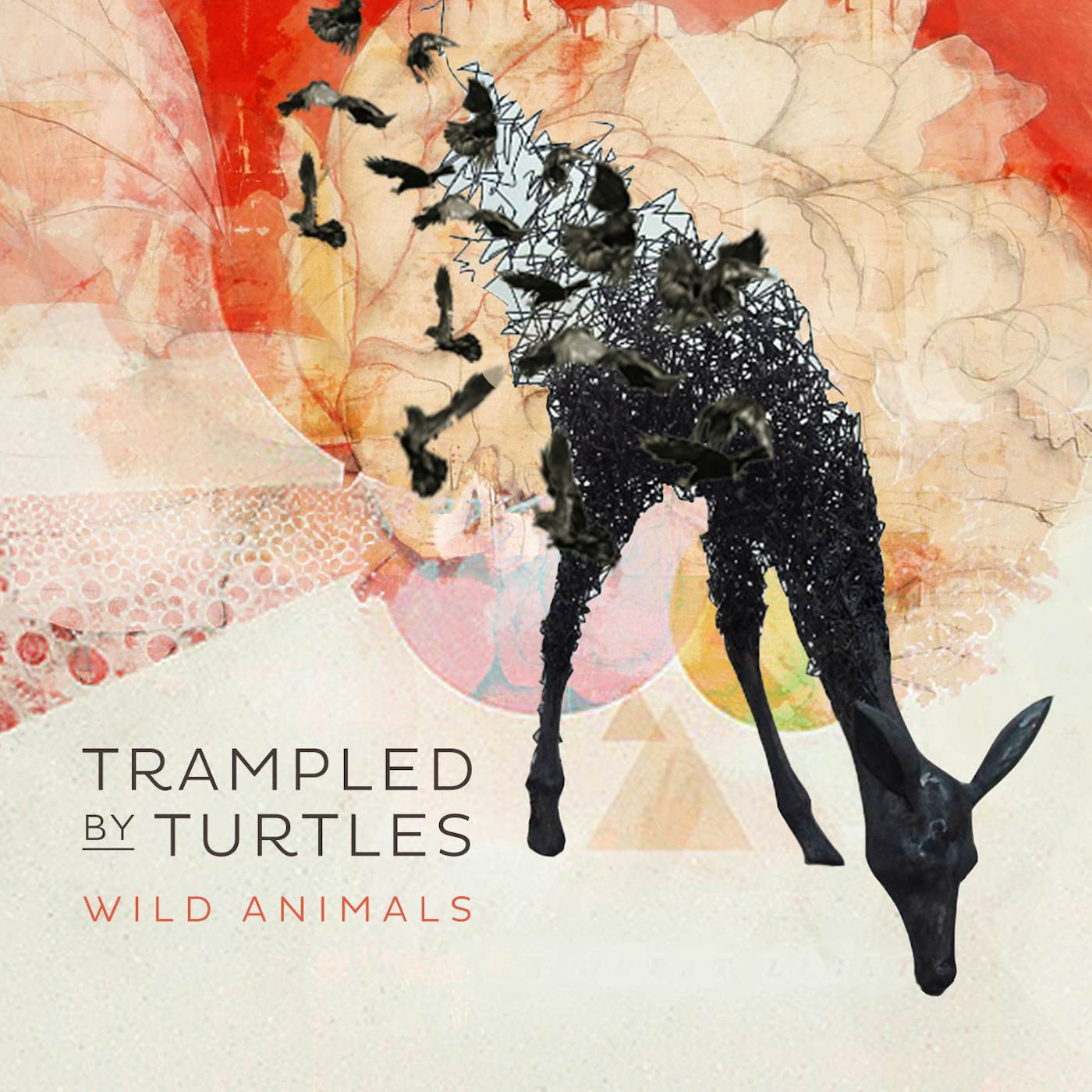 Trampled by Turtles WILD ANIMALS CD