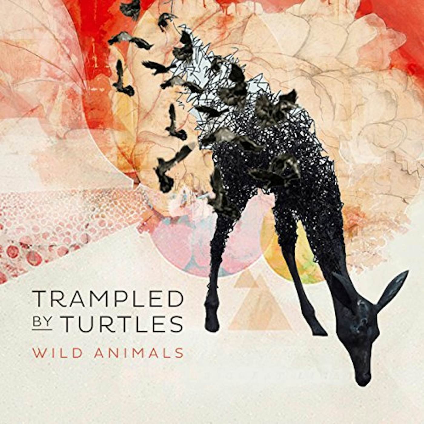 Trampled by Turtles Wild Animals Vinyl Record
