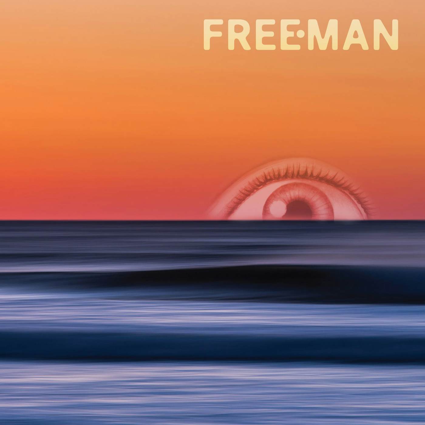 Freeman Vinyl Record