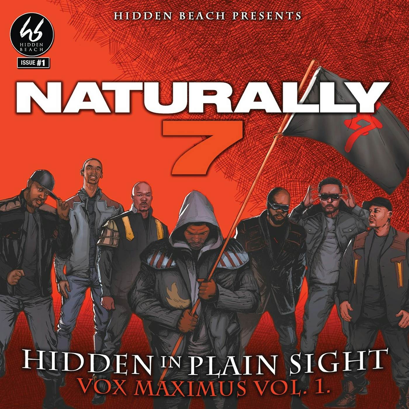 Naturally 7 Hidden In Plain Sight Vinyl Record