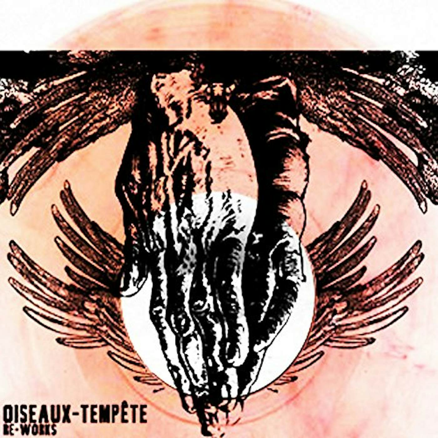Oiseaux-Tempête Re-Works Vinyl Record