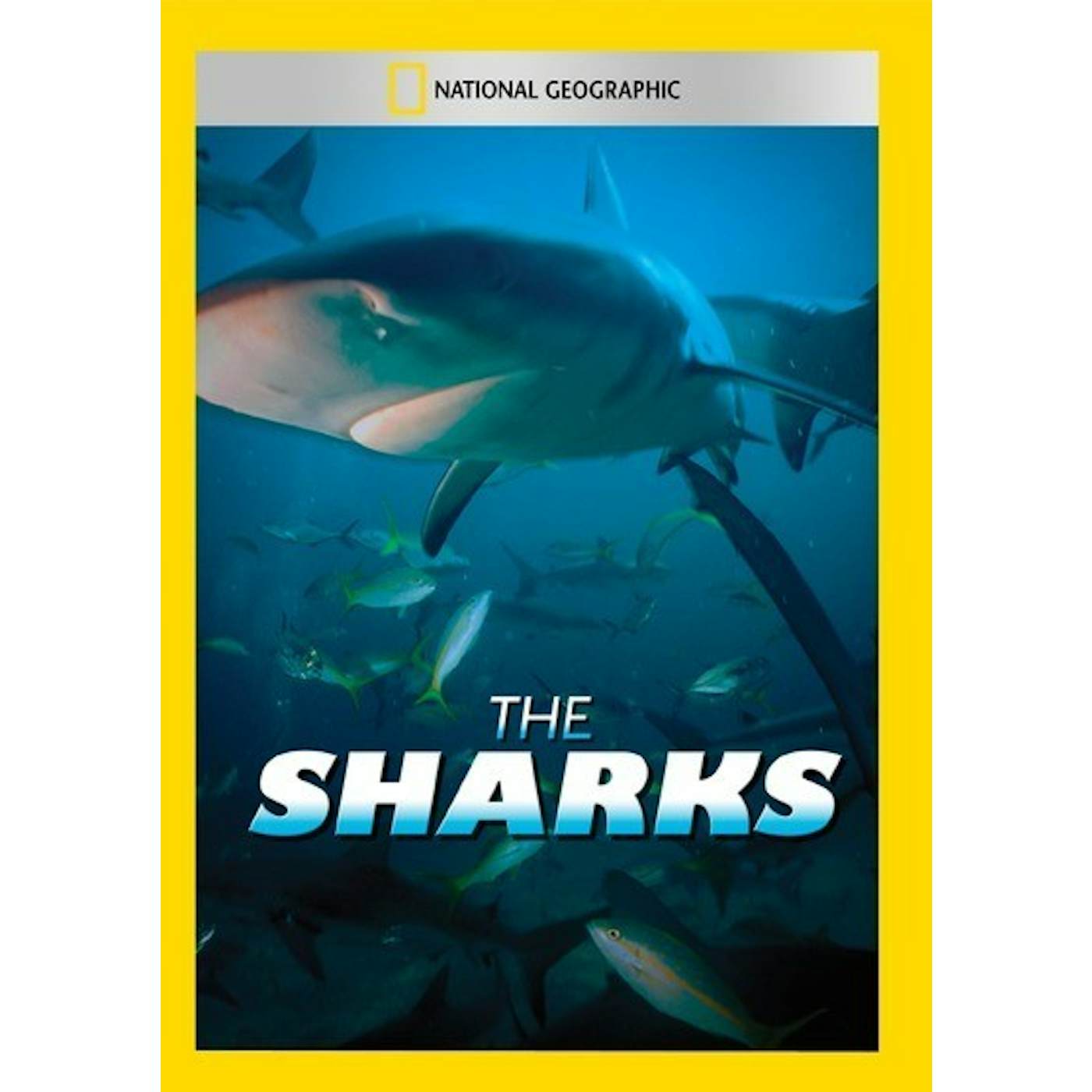 SHARKS DVD