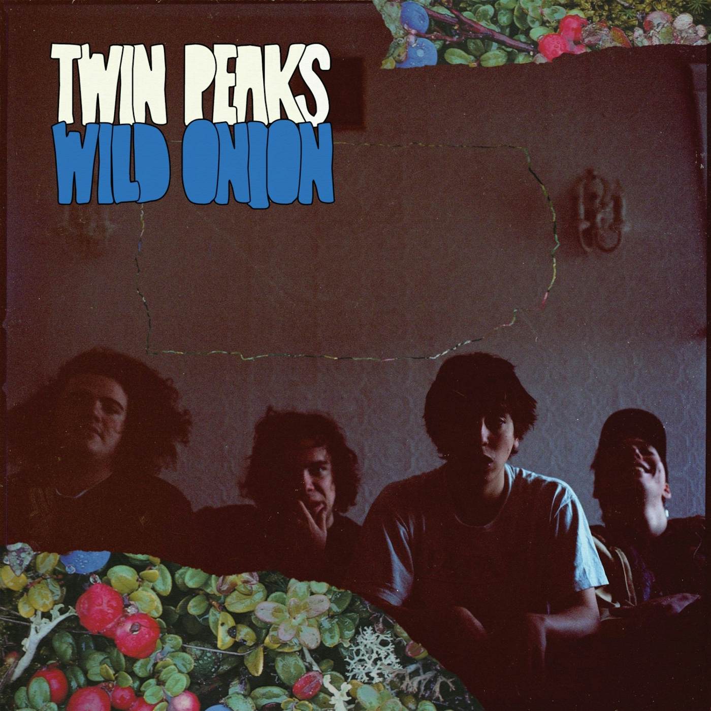 Twin Peaks WILD ONION CD