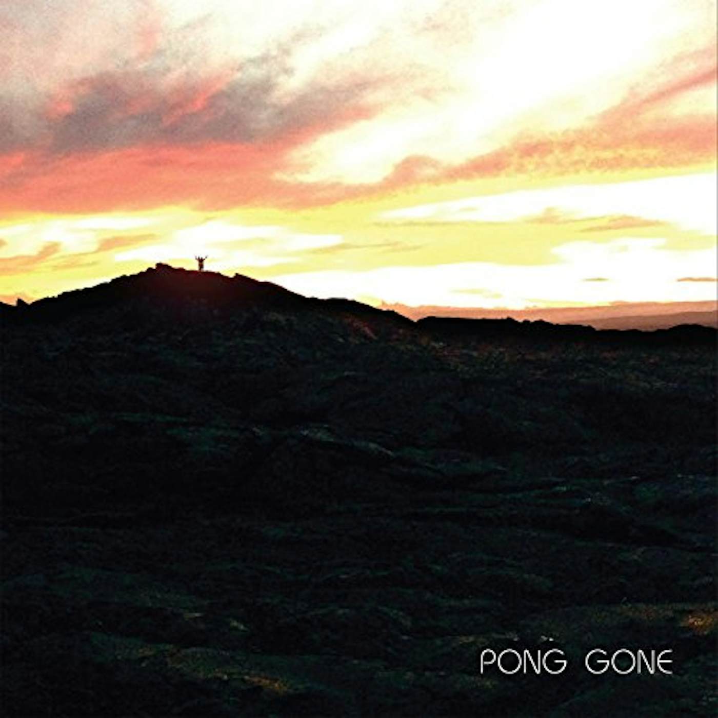 Pong GONE CD