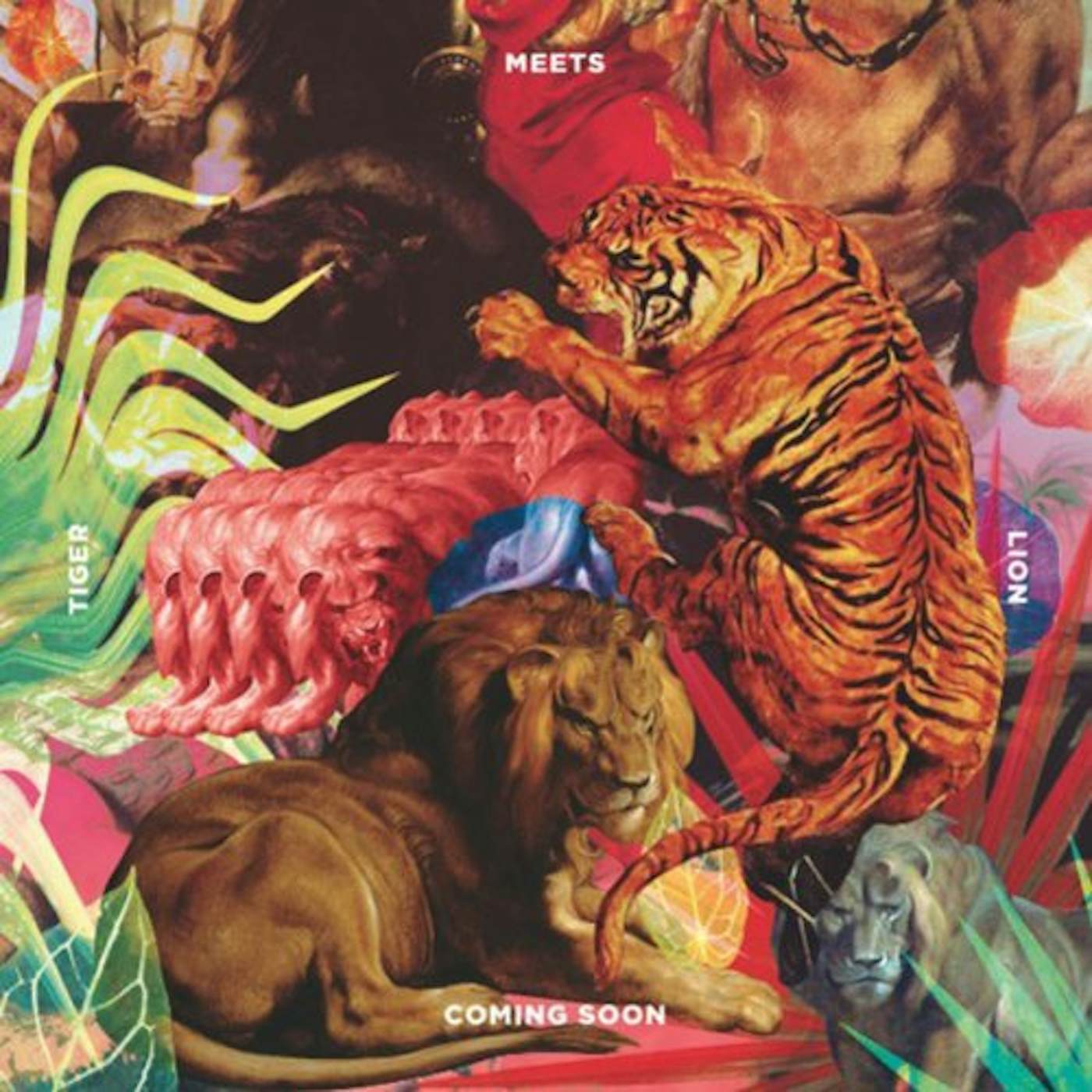 Coming Soon TIGER MEETS LION CD