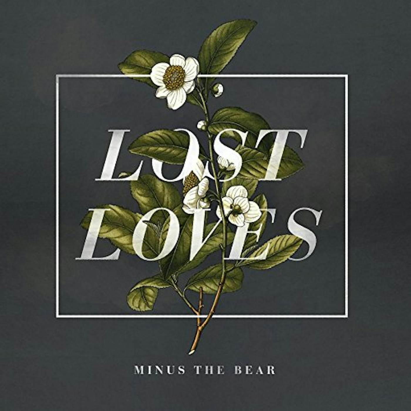 Minus the Bear LOST LOVES CD