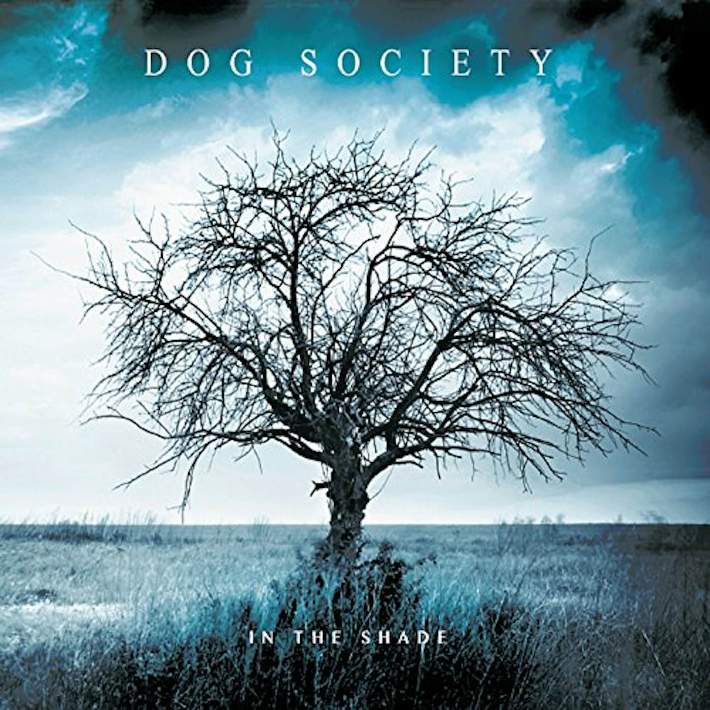 Dog Society IN THE SHADE CD