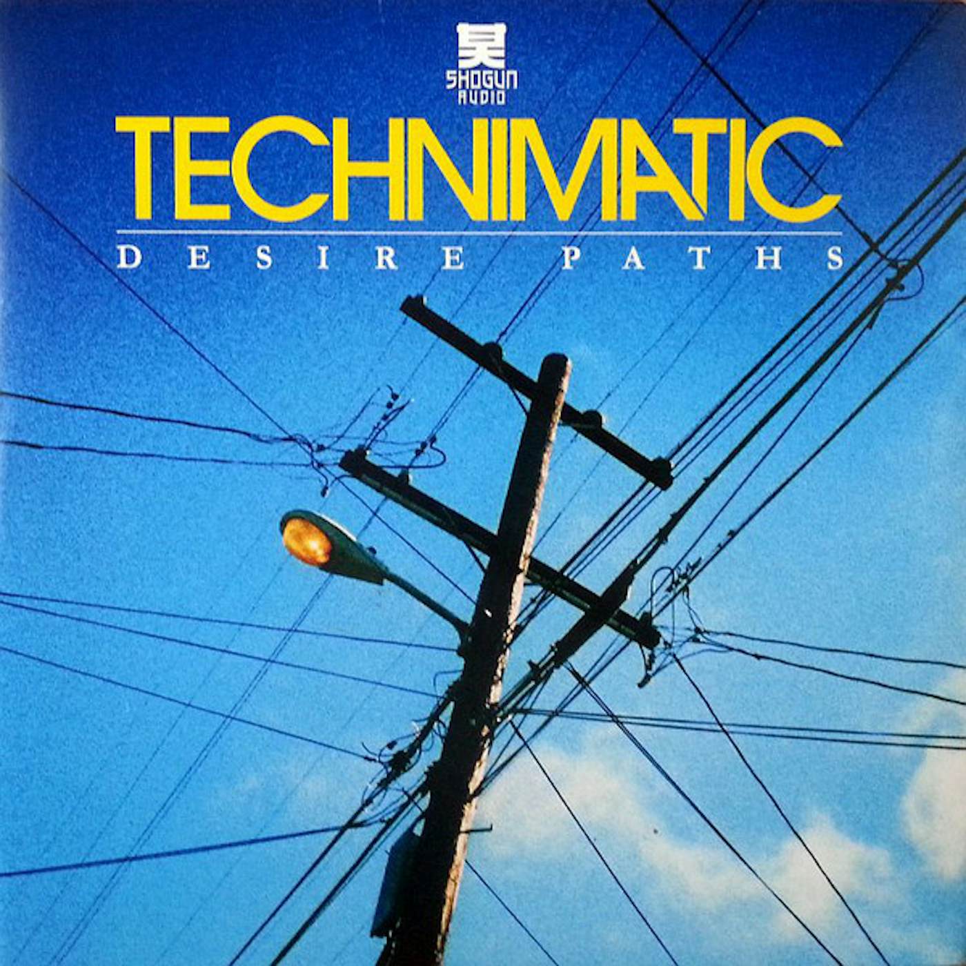 Technimatic Desire Paths Vinyl Record