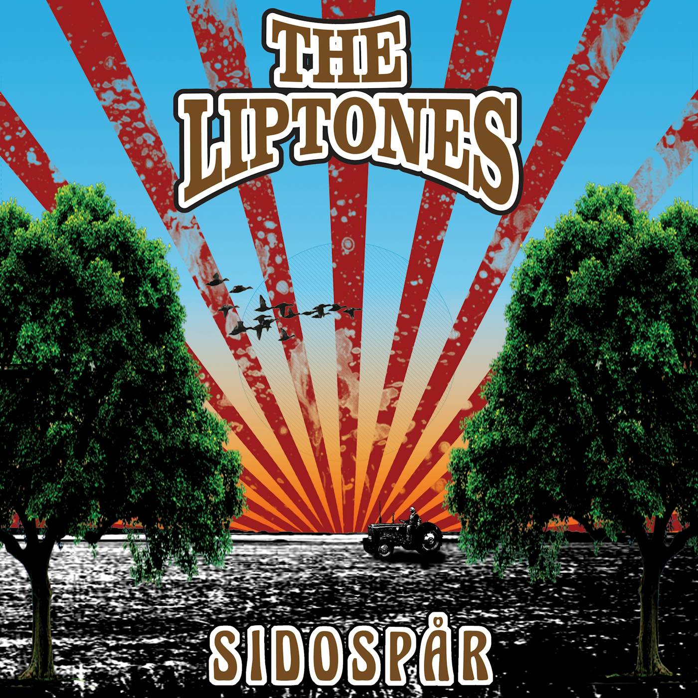 The Liptones SIDOSPAR Vinyl Record