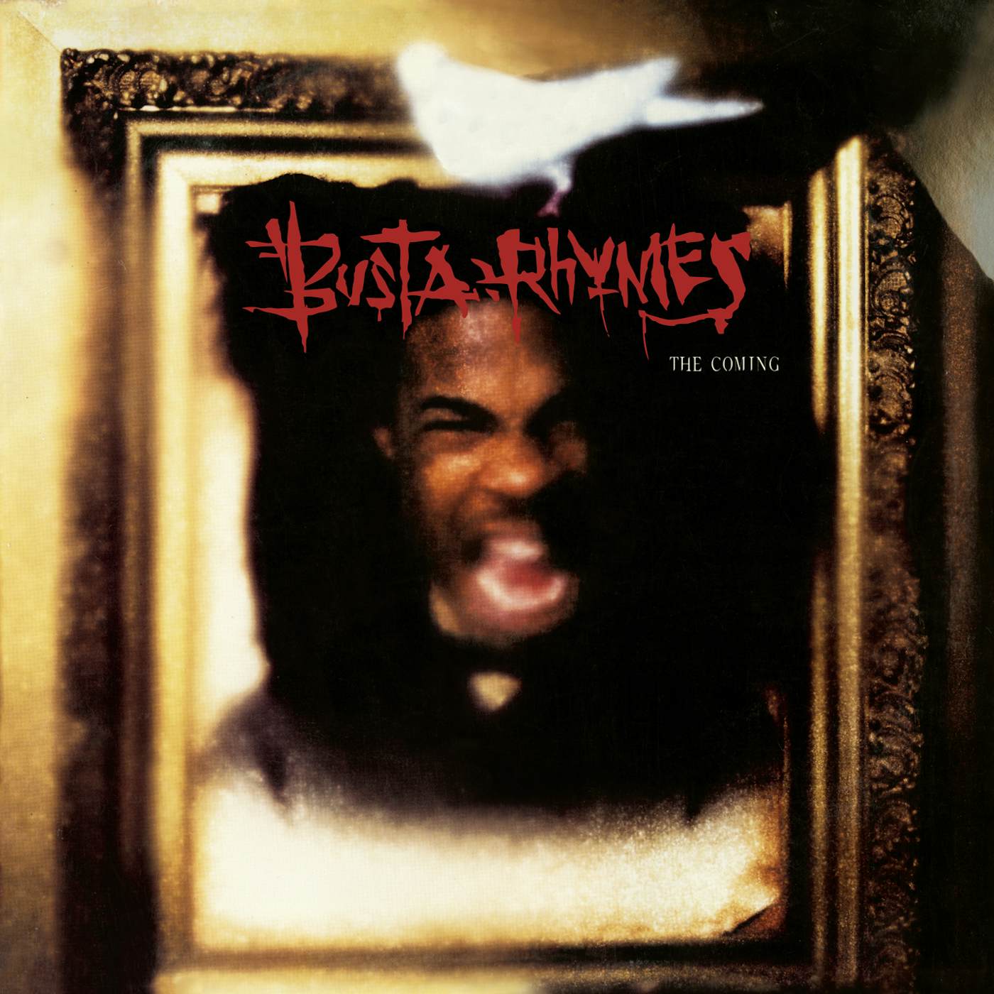 Busta Rhymes The Coming Vinyl Record