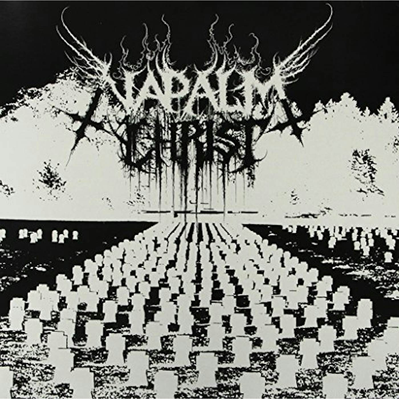 Napalm Christ Vinyl Record
