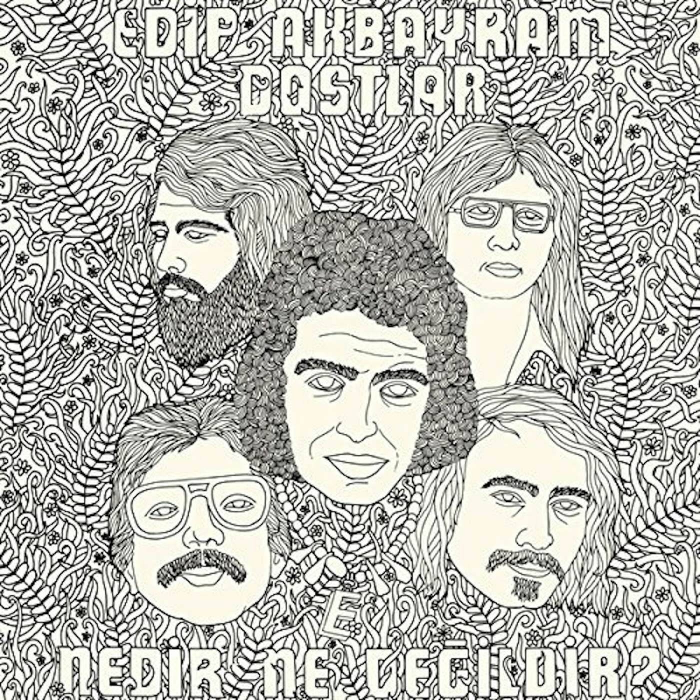 Edip Akbayram & Dostlar NEDIR NE DEGILDIR Vinyl Record