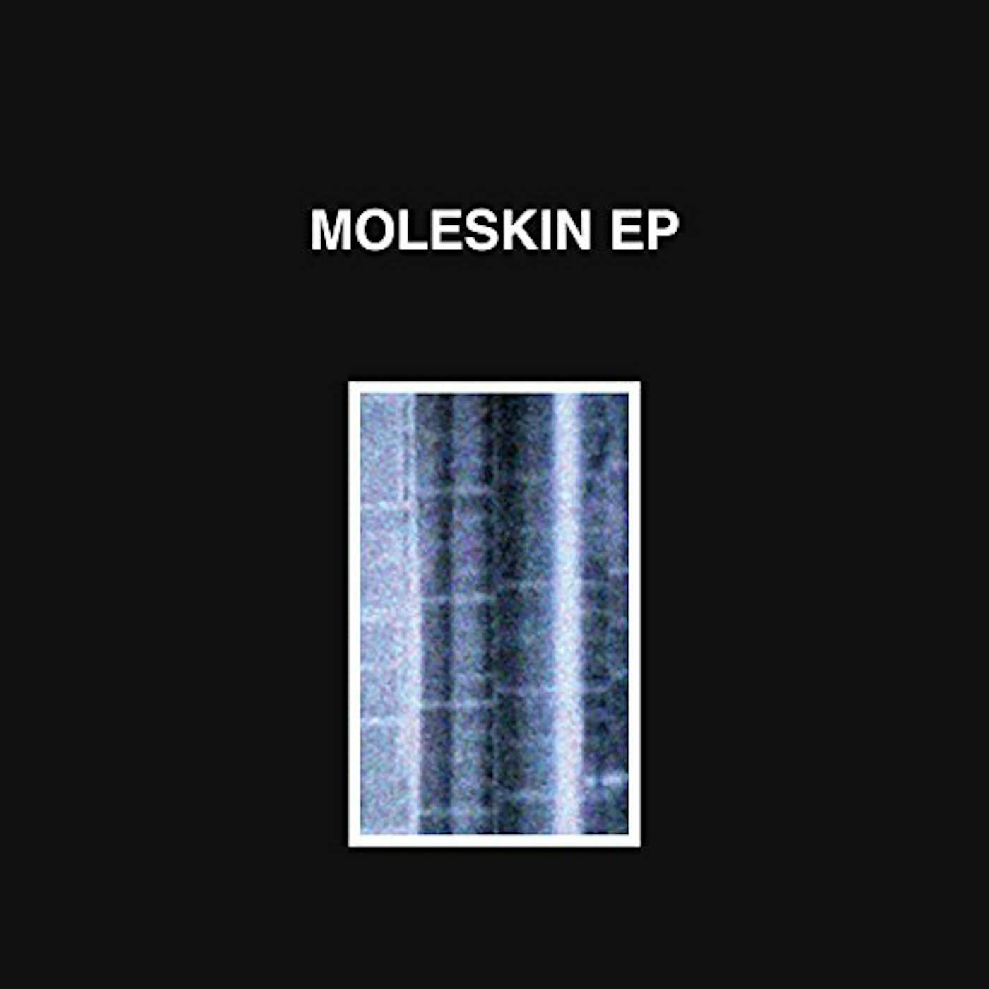 Moleskin Vinyl Record