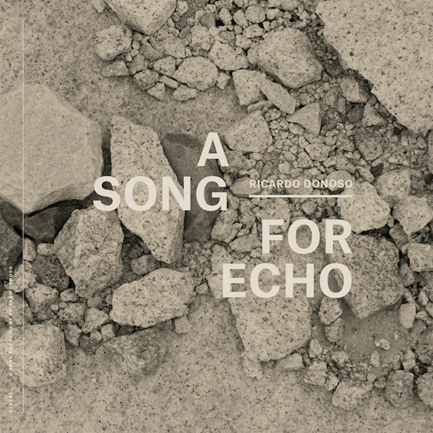 Ricardo Donoso SONG FOR ECHO Vinyl Record
