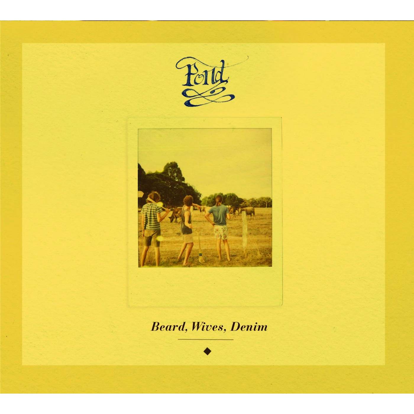 Pond BEARD WIVES DENIM Vinyl Record