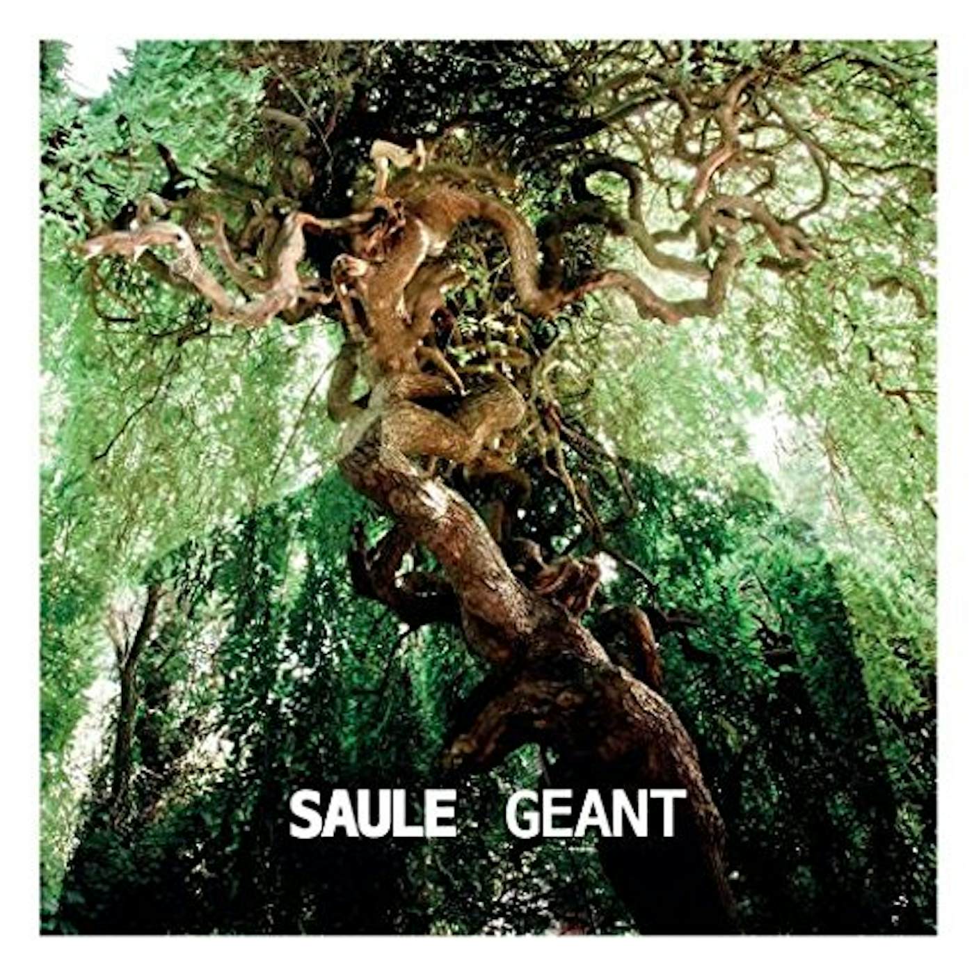 Saule GEANT Vinyl Record