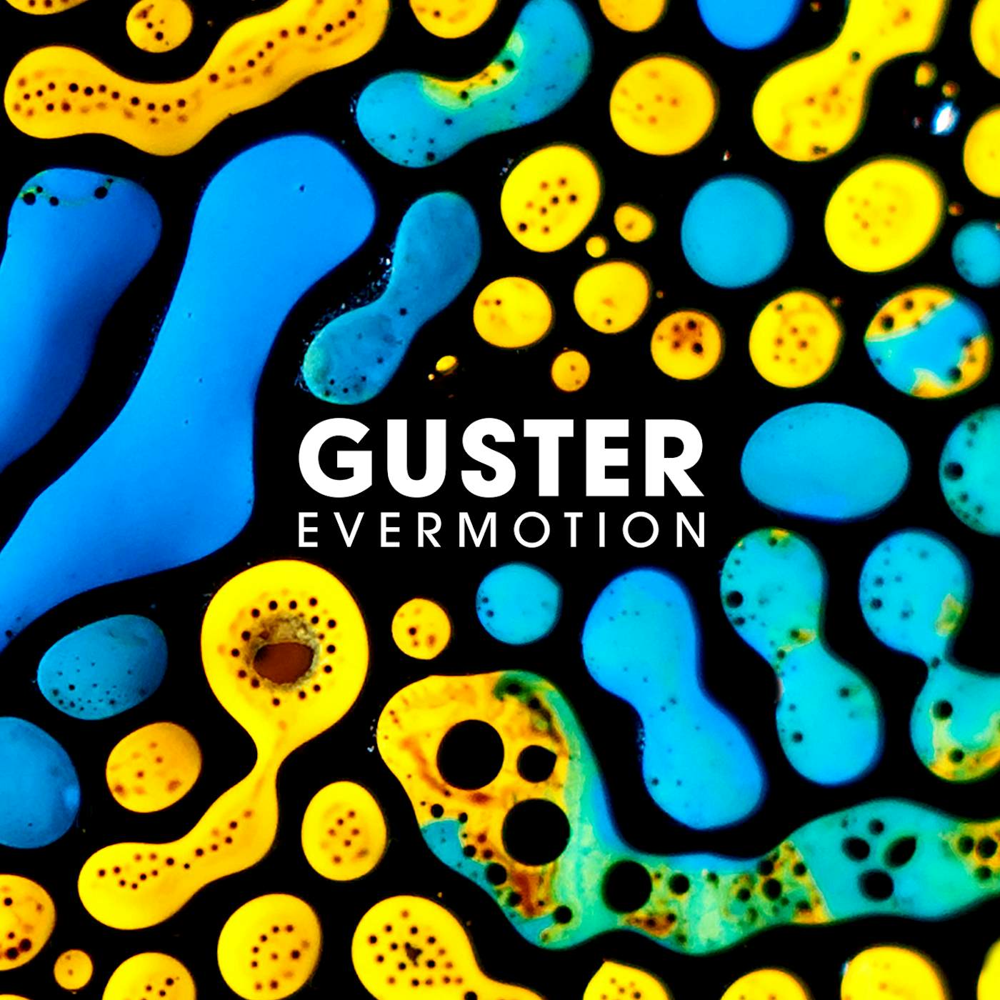 Guster EVERMOTION CD