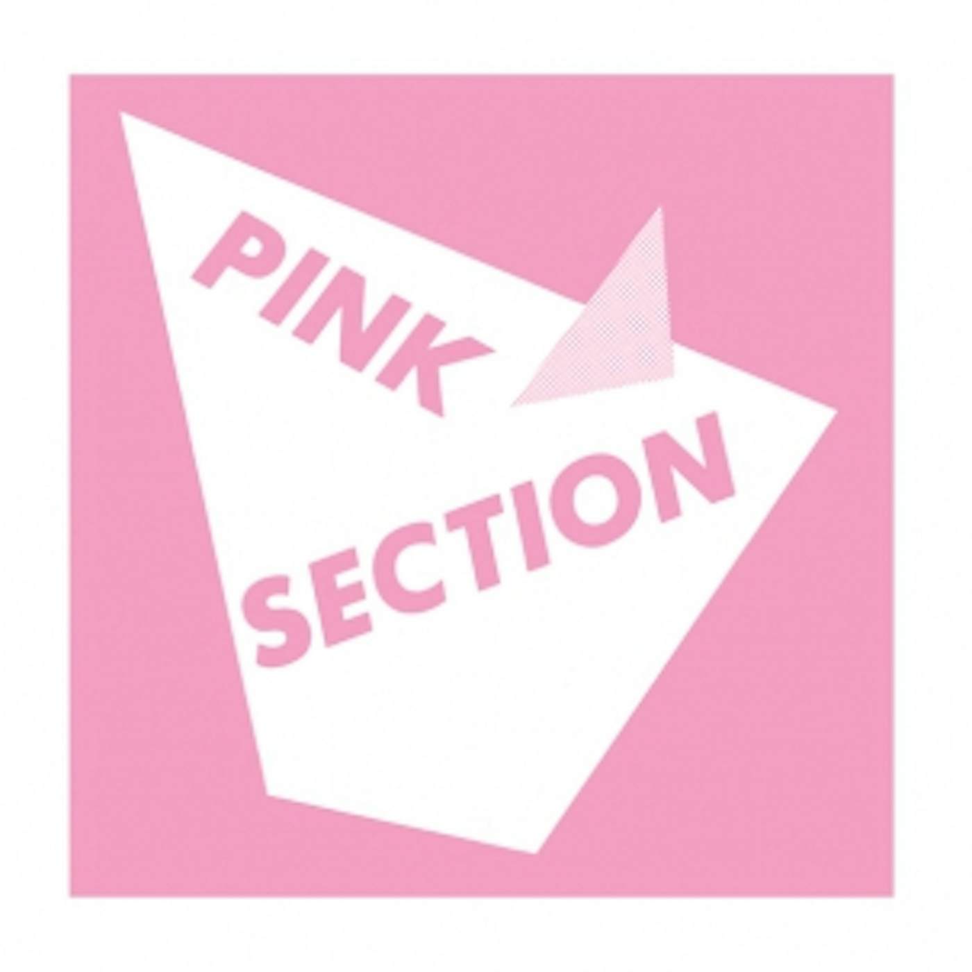 PINK SECTION Vinyl Record