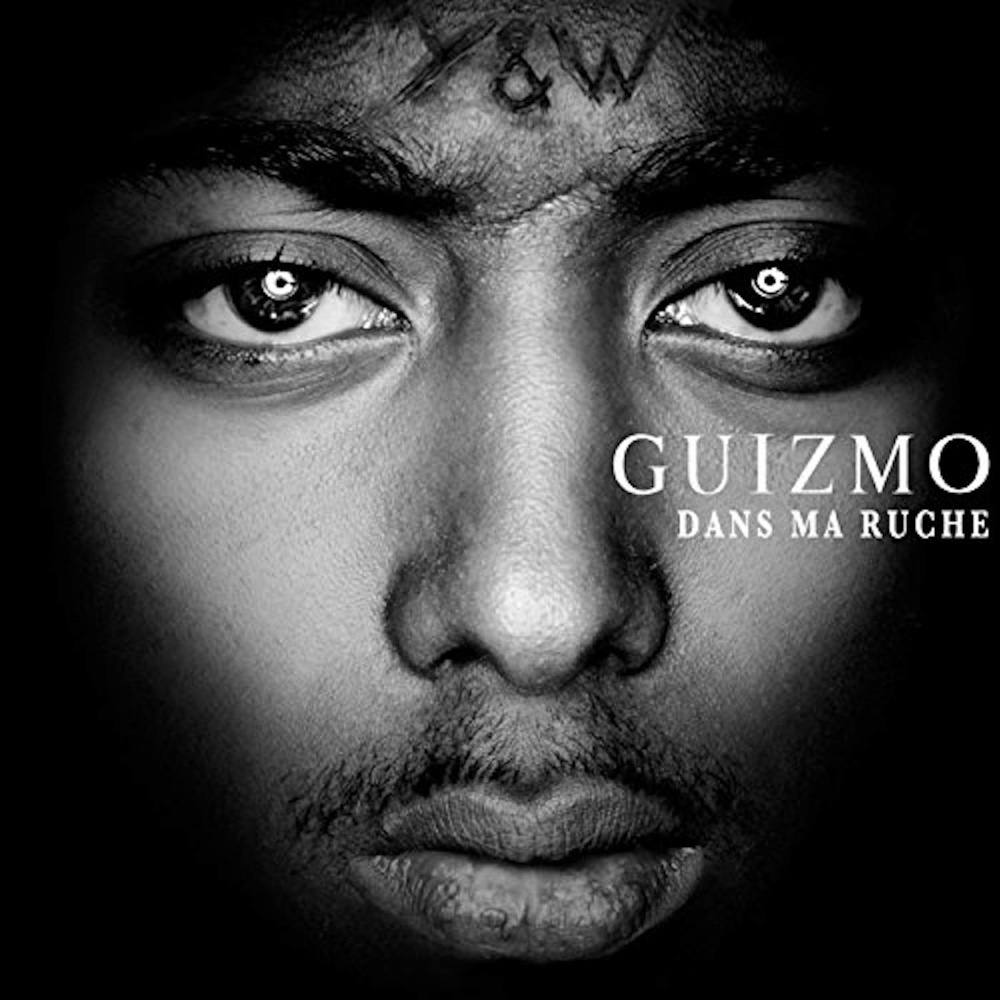 Guizmo DANS MA RUCHE: LIMITED EDITION CD
