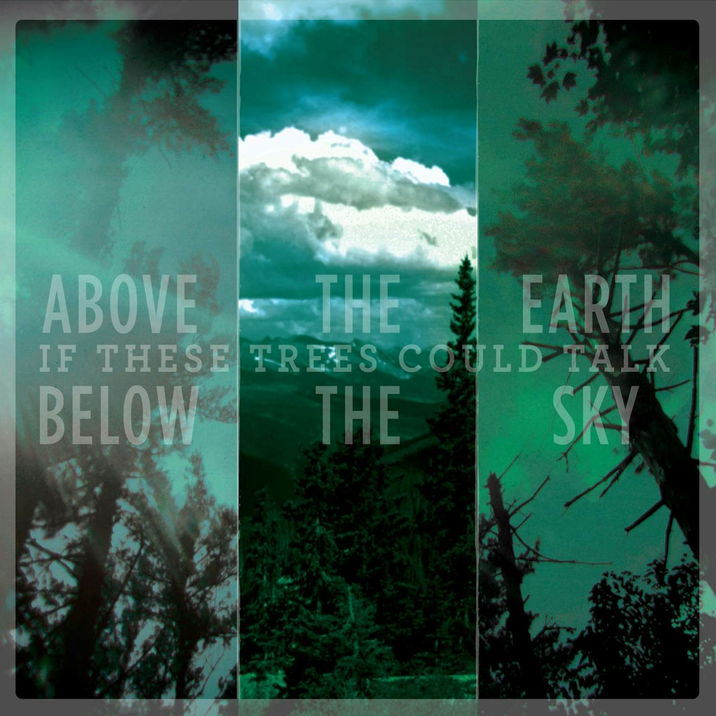 If These Trees Could Talk ABOVE THE EARTH BELOW THE SKY CD