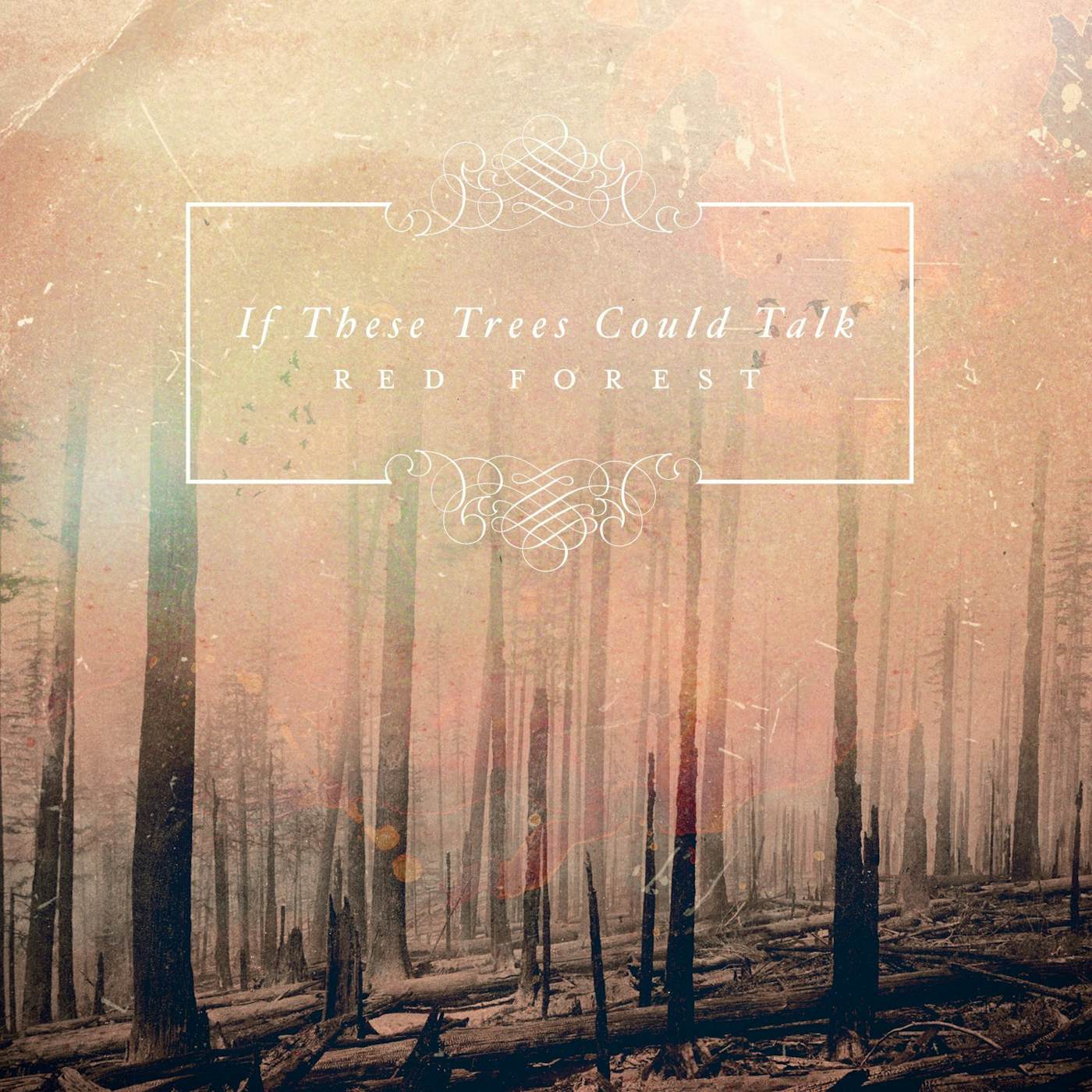 If These Trees Could Talk RED FOREST CD