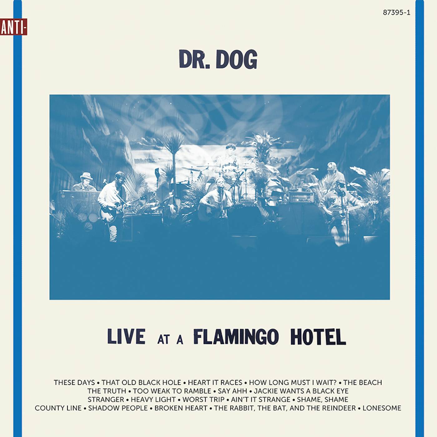 Dr. Dog Live at a Flamingo Hotel Vinyl Record