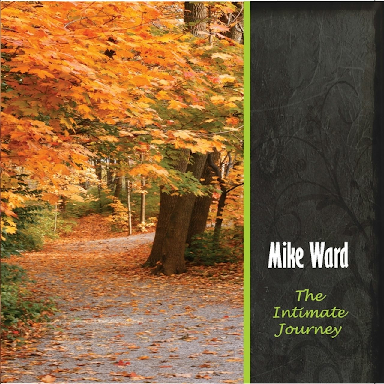 Mike Ward INTIMATE JOURNEY CD