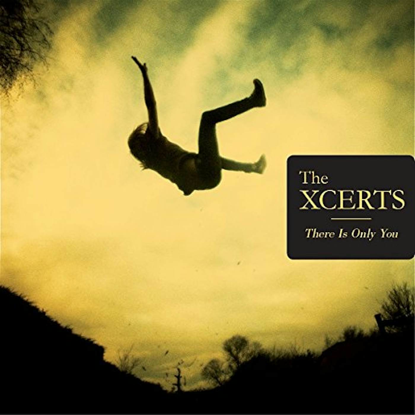 The XCERTS THERE IS ONLY YOU CD