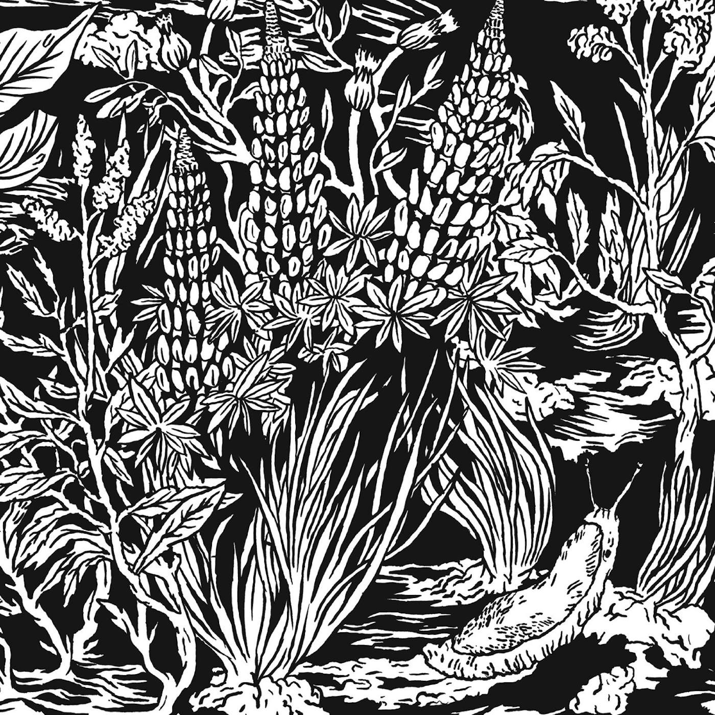 Eternal Tapestry WILD STRAWBERRIES Vinyl Record