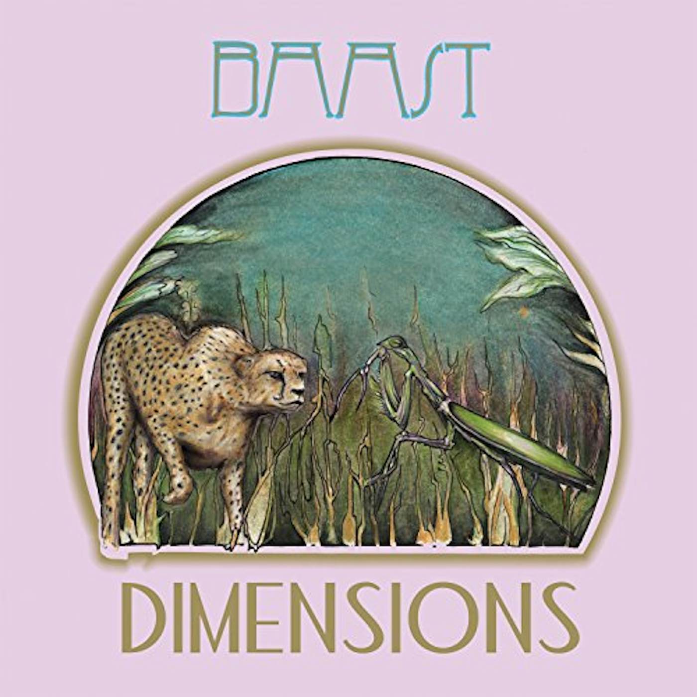 Baast Dimensions Vinyl Record