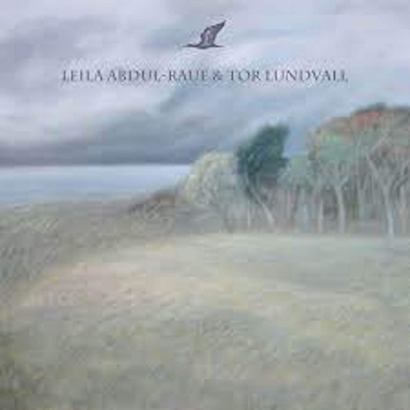Leila Abdul-Rauf / Tor Lundvall Ibis / Quiet Seaside Vinyl Record