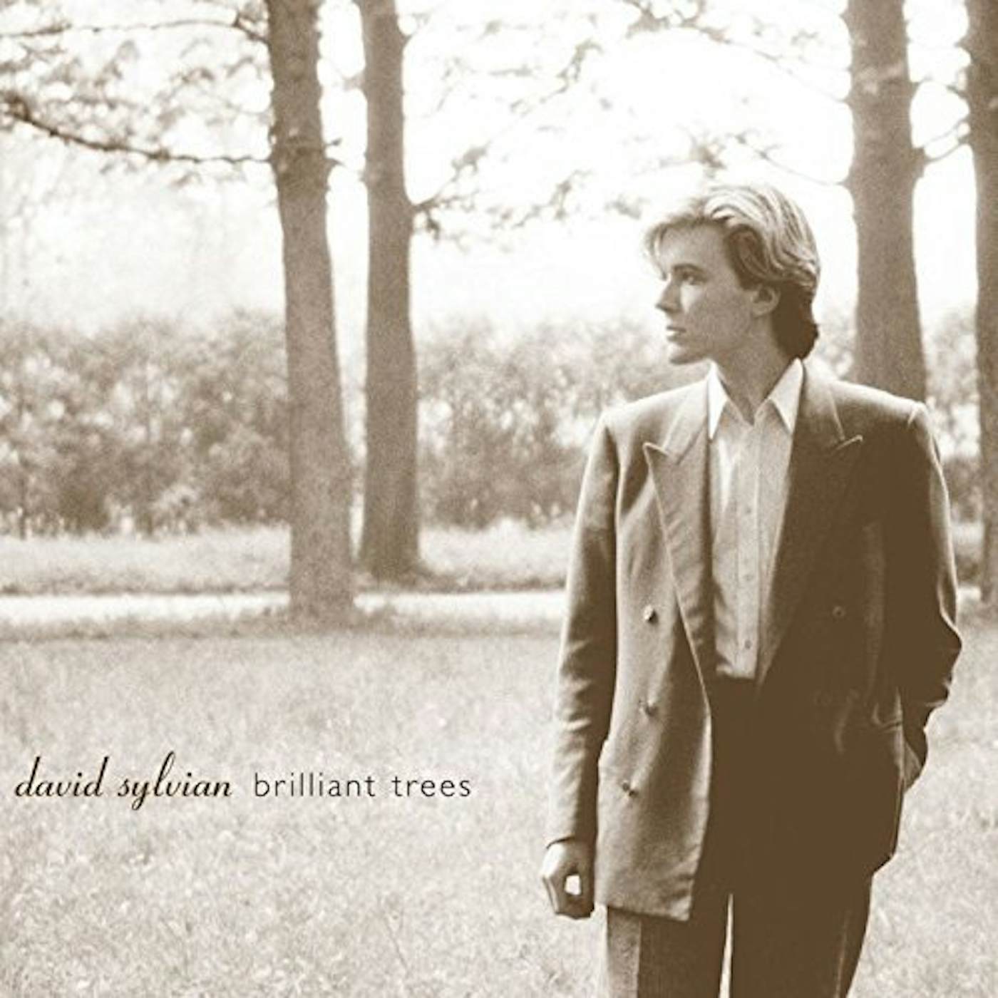 David Sylvian BRILLIANT TREES CD