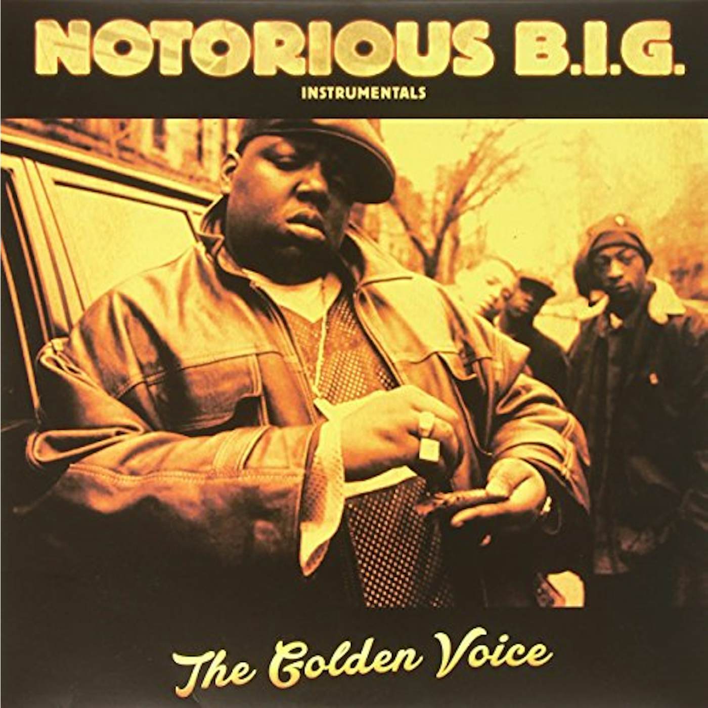 The Notorious B.I.G. INSTRUMENTALS THE GOLDEN VOICE Vinyl Record