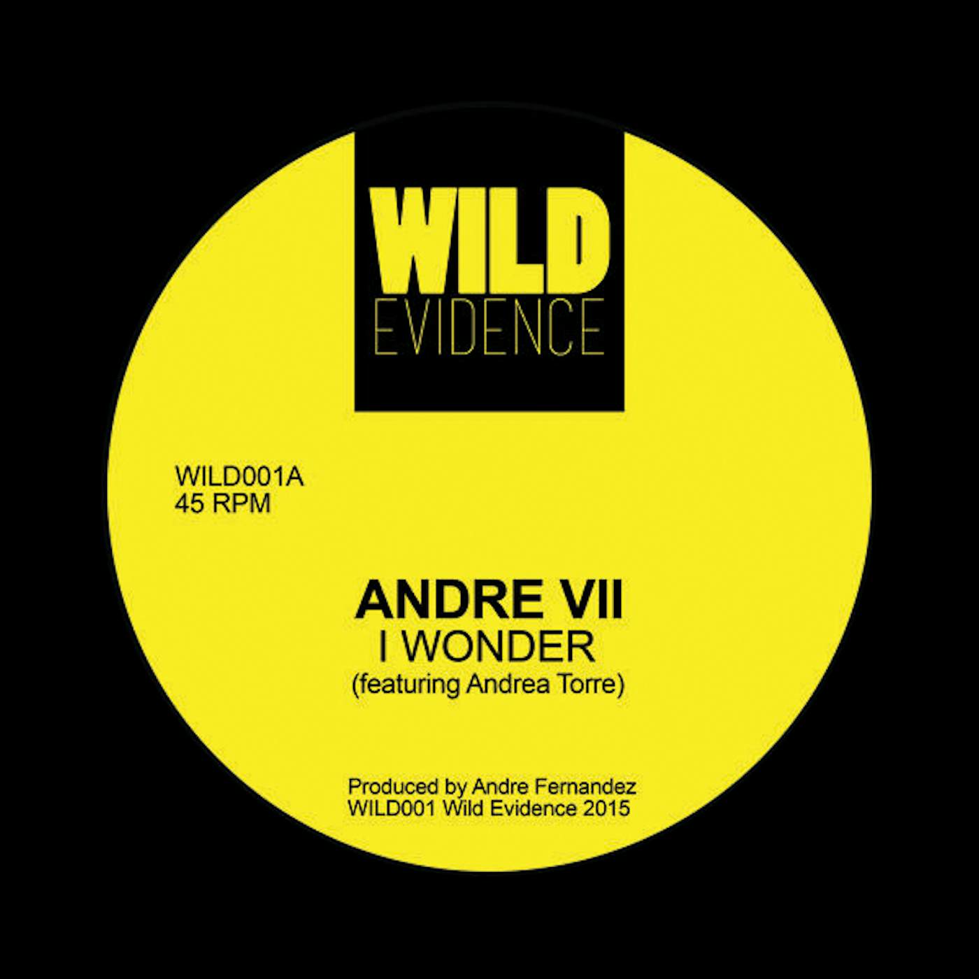 Andre VII I Wonder Vinyl Record