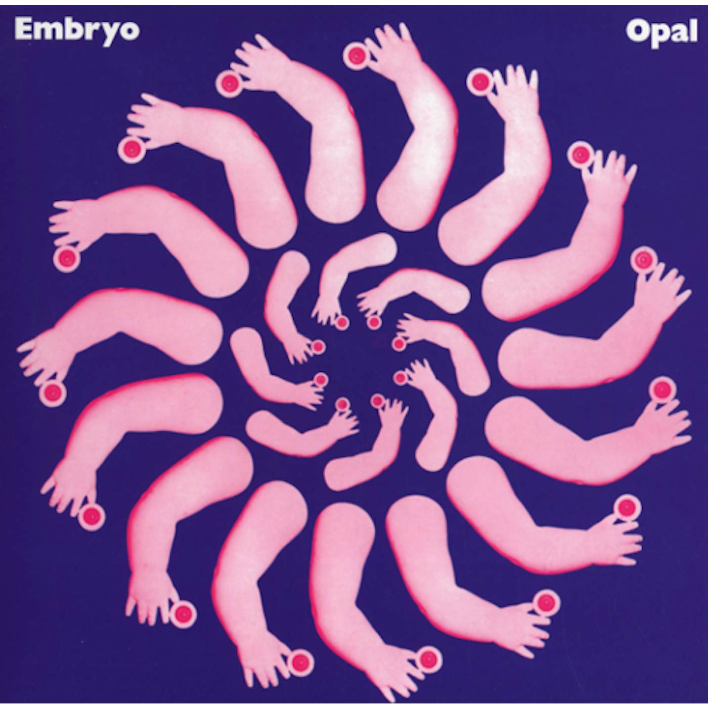 Embryo Opal Vinyl Record