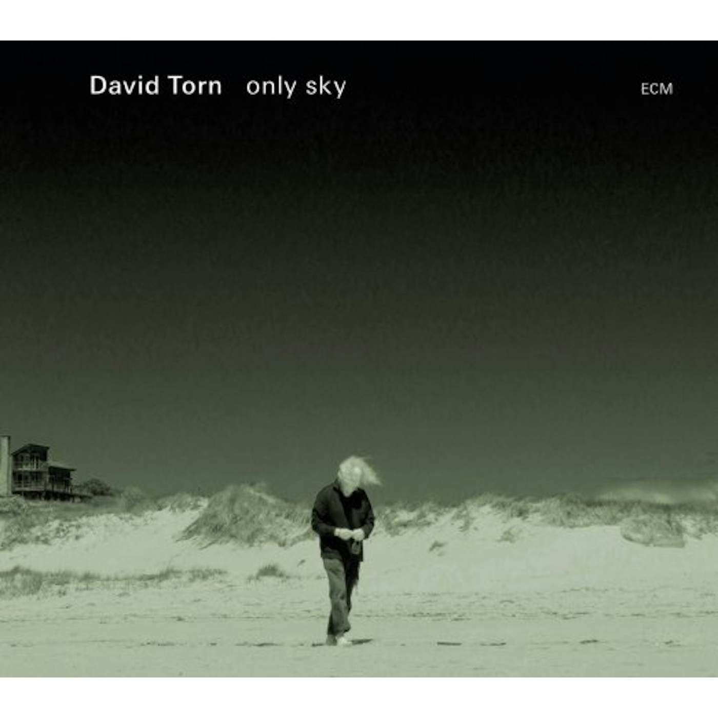 David Torn ONLY SKY CD
