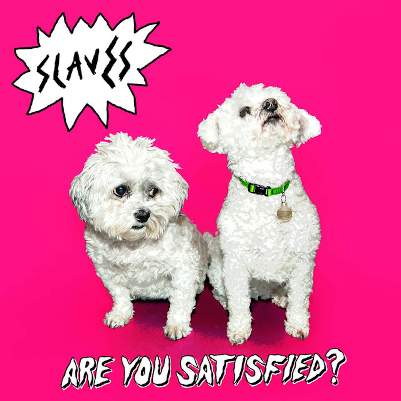 Slaves ARE YOU SATISFIED Vinyl Record