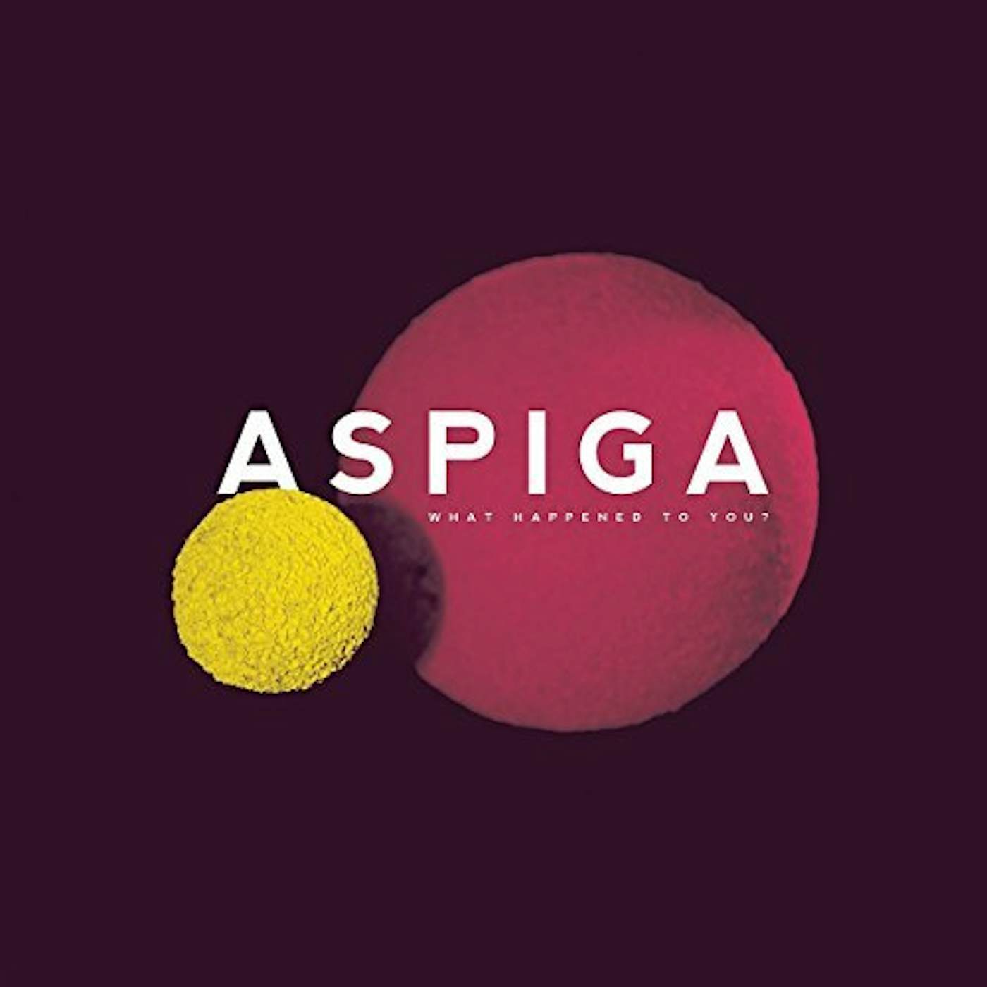 Aspiga WHAT HAPPENED TO YOU CD