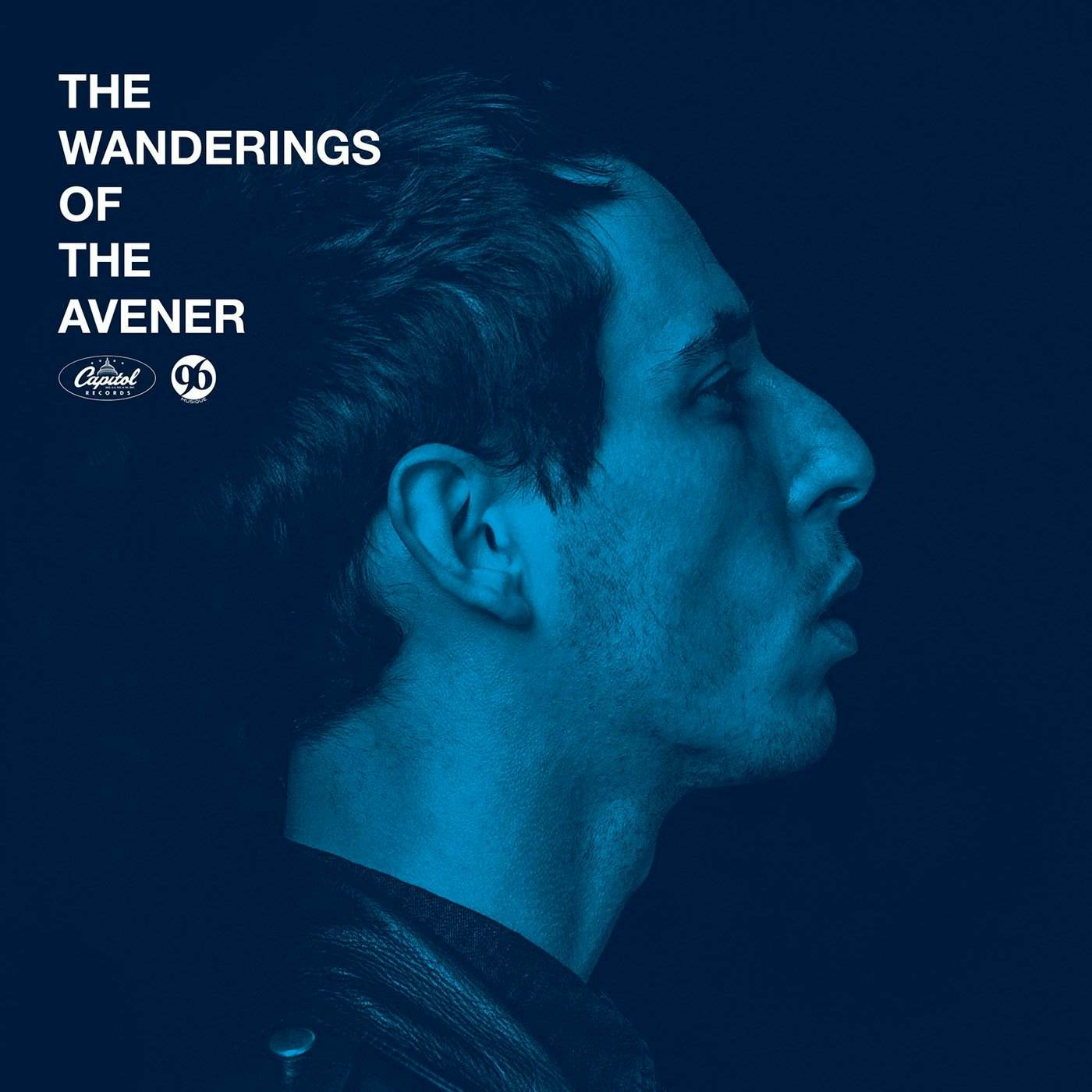 WANDERINGS OF THE AVENER Vinyl Record