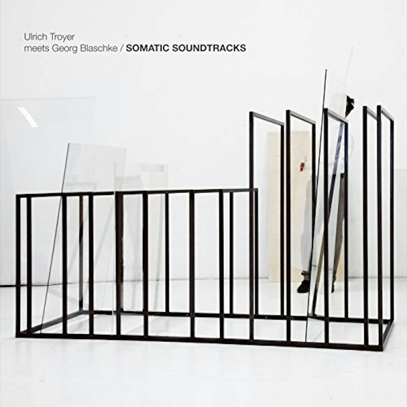Ulrich Troyer MEETS GEORG BLASCHKE: SOMATIC SOUNDTRACKS CD