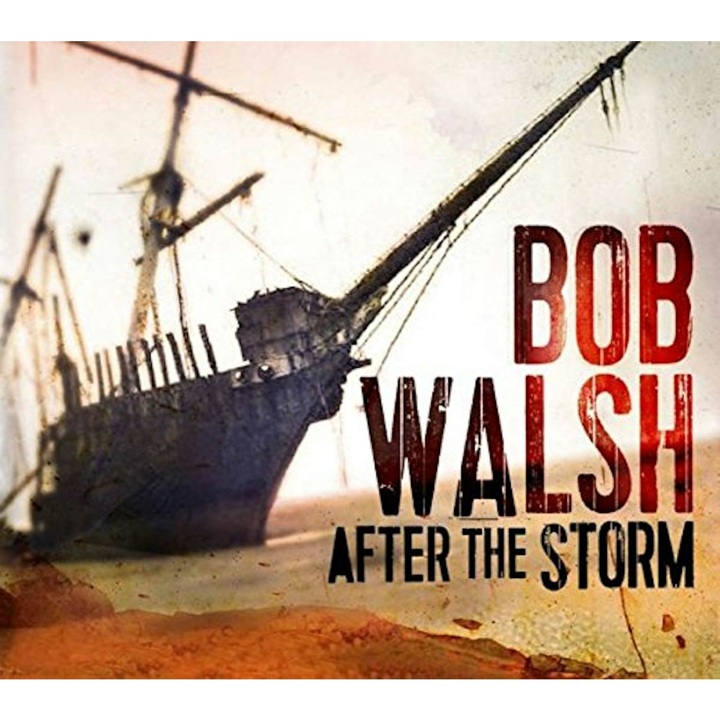 Bob Walsh AFTER THE STORM CD