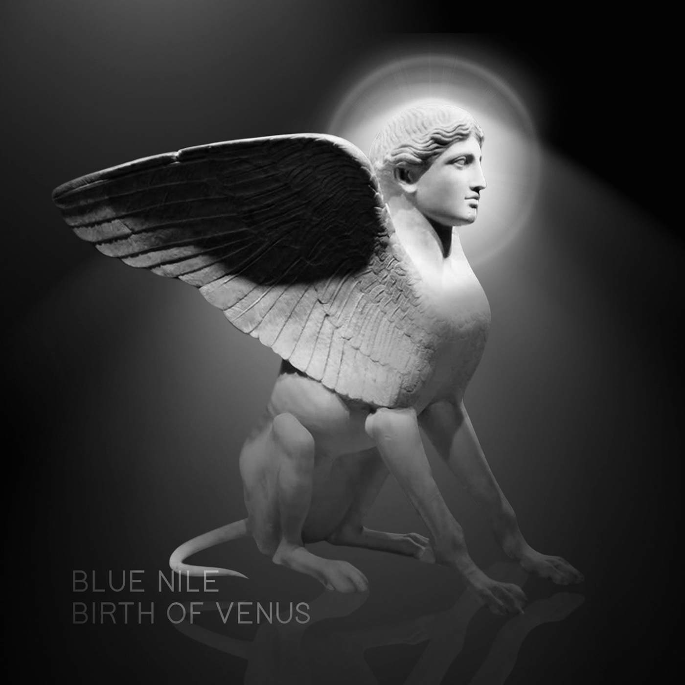 Blue Nile BIRTH OF VENUS CD